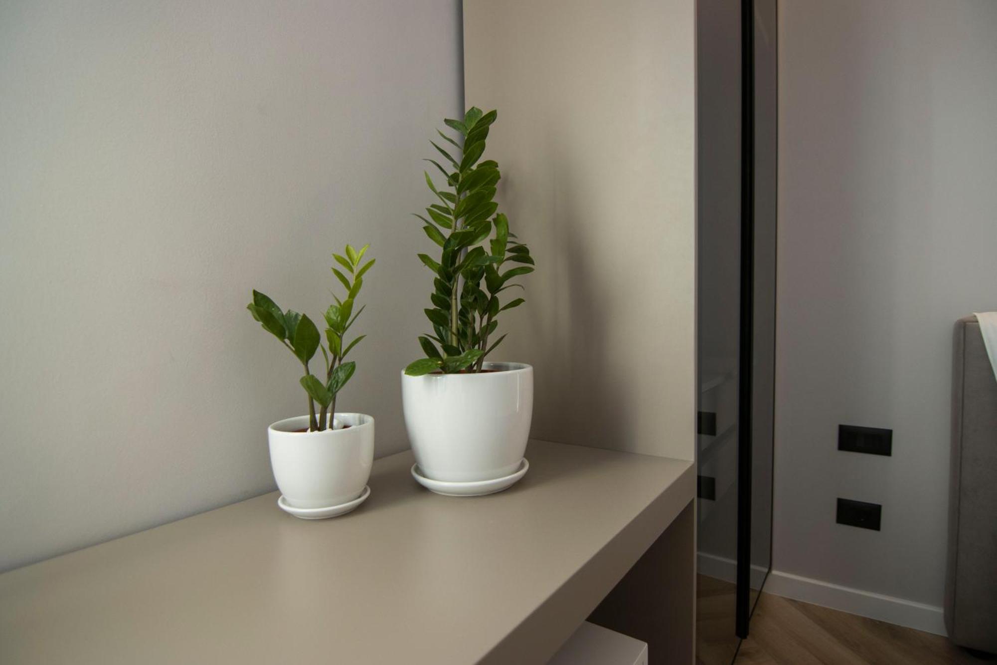 Mina Luxury Rooms Τίρανα Εξωτερικό φωτογραφία